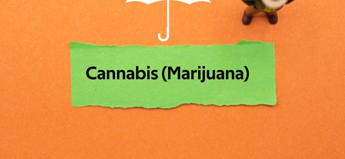 Orange paper with Cannabis